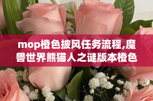 mop橙色披风任务流程,魔兽世界熊猫人之谜版本橙色披风全任务流程指南
