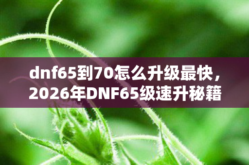 dnf65到70怎么升级最快,2026年DNF65级速升秘籍,7天狂飙30级?真相颠覆认知! dnf65到70怎么升级最快,2026年DNF65级速升秘籍,7天狂飙30级?真相颠覆认知!