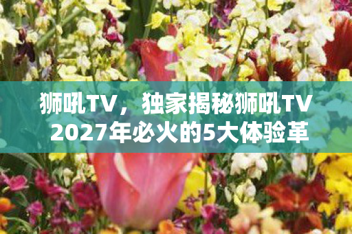 狮吼TV，独家揭秘狮吼TV 2027年必火的5大体验革新！错过=落后十年心得