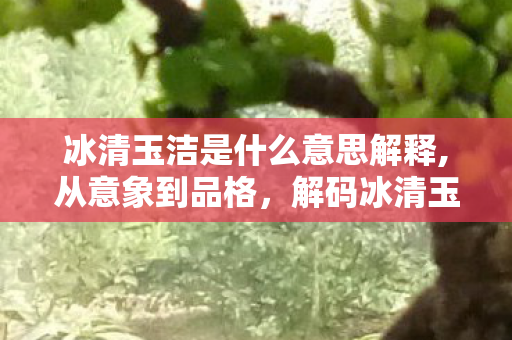 冰清玉洁是什么意思解释,从意象到品格，解码冰清玉洁背后的东方审美内核