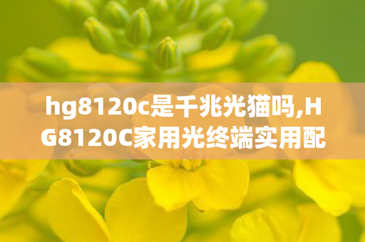 hg8120c是千兆光猫吗,HG8120C家用光终端实用配置指南与日常维护技巧