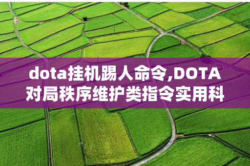 dota挂机踢人命令,DOTA对局秩序维护类指令实用科普