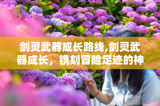剑灵武器成长路线,剑灵武器成长，镌刻冒险足迹的神兵进阶之路