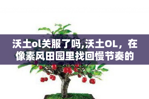 沃土ol关服了吗,沃土OL，在像素风田园里找回慢节奏的游戏初心