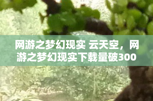 网游之梦幻现实 云天空，网游之梦幻现实下载量破3000万！二次元破圈狂欢竟让00后集体吃土？