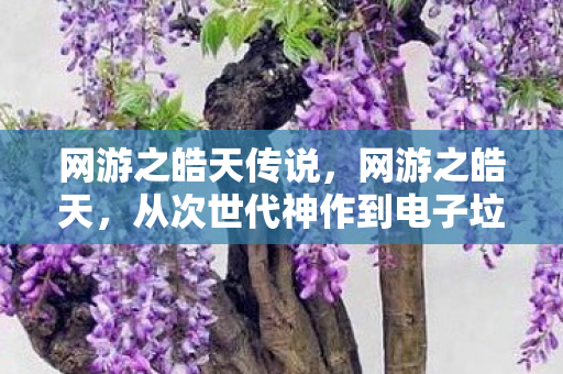 网游之皓天传说,网游之皓天,从次世代神作到电子垃圾,笑着笑着就哭成狗的真相 网游之皓天传说,网游之皓天,从次世代神作到电子垃圾,笑着笑着就哭成狗的真相