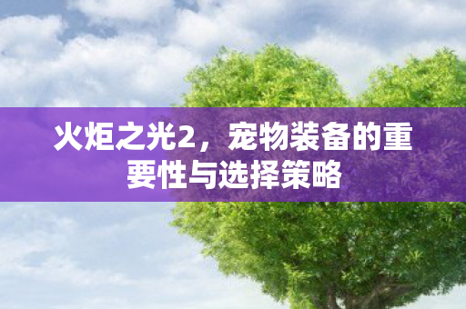 宠物装备的重要性与选择策略图片