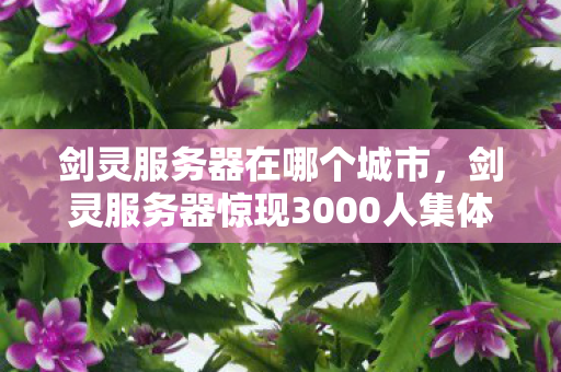 剑灵服务器在哪个城市，剑灵服务器惊现3000人集体消失谜团，百万玩家集体破防！