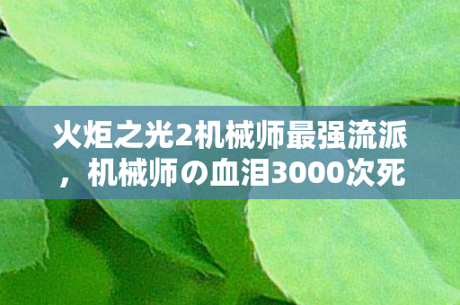 火炬之光2机械师最强流派，机械师の血泪3000次死亡换来的3个神技！最后1秒竟被BOSS反杀？