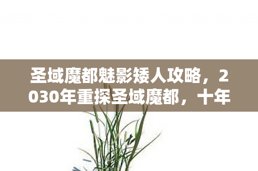 圣域魔都魅影矮人攻略，2030年重探圣域魔都，十年后才发现的隐藏真相，颠覆你的认知！