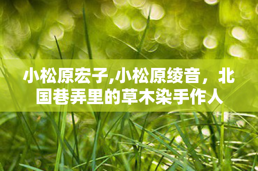 小松原宏子,小松原绫音，北国巷弄里的草木染手作人
