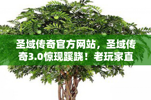 圣域传奇官方网站，圣域传奇3.0惊现蹊跷！老玩家直呼，这波更新太离谱！
