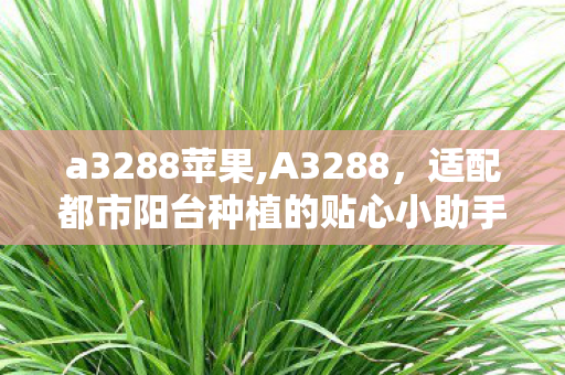 a3288苹果,A3288，适配都市阳台种植的贴心小助手
