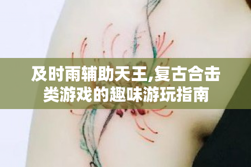 及时雨辅助天王,复古合击类游戏的趣味游玩指南