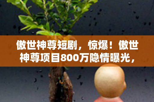 傲世神尊短剧,惊爆!傲世神尊项目800万隐情曝光,离职老兵掀桌,这操作吓我一跳! 傲世神尊短剧,惊爆!傲世神尊项目800万隐情曝光,离职老兵掀桌,这操作吓我一跳!
