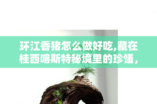 环江香猪怎么做好吃,藏在桂西喀斯特秘境里的珍馐，环江香猪的山野风味故事