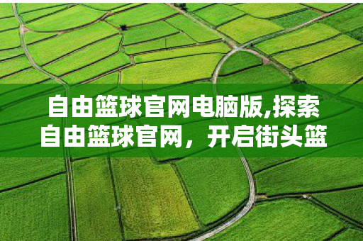 自由篮球官网电脑版,探索自由篮球官网,开启街头篮球热血新旅程 自由篮球官网电脑版,探索自由篮球官网,开启街头篮球热血新旅程