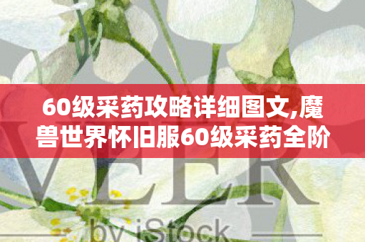 60级采药攻略详细图文,魔兽世界怀旧服60级采药全阶段速升攻略 少走弯路高效冲级