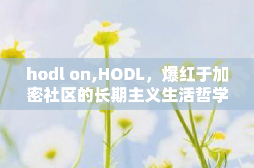 hodl on,HODL，爆红于加密社区的长期主义生活哲学