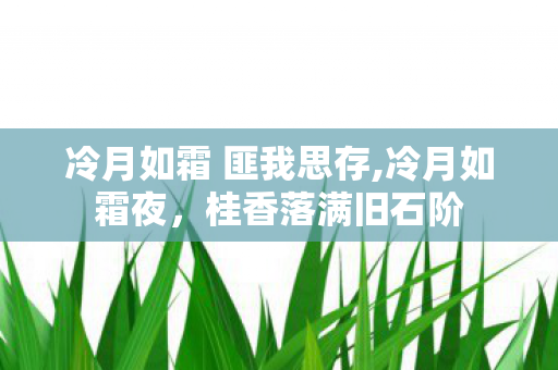 冷月如霜 匪我思存,冷月如霜夜，桂香落满旧石阶