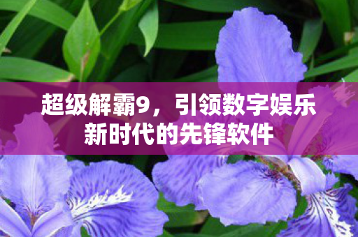 引领数字娱乐新时代的先锋软件图片