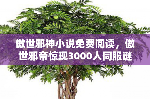 傲世邪神小说免费阅读，傲世邪帝惊现3000人同服谜团！全员破防竟因一个普通玩家？