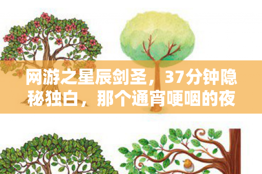 网游之星辰剑圣，37分钟隐秘独白，那个通宵哽咽的夜晚，星运逆天里藏着谁的人生