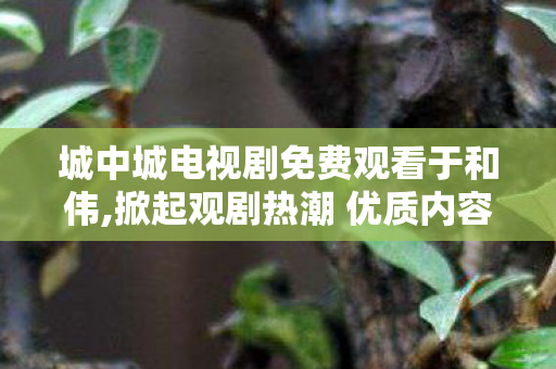 城中城电视剧免费观看于和伟,掀起观剧热潮 优质内容陪伴市民休闲时光 城中城电视剧免费观看于和伟,掀起观剧热潮 优质内容陪伴市民休闲时光