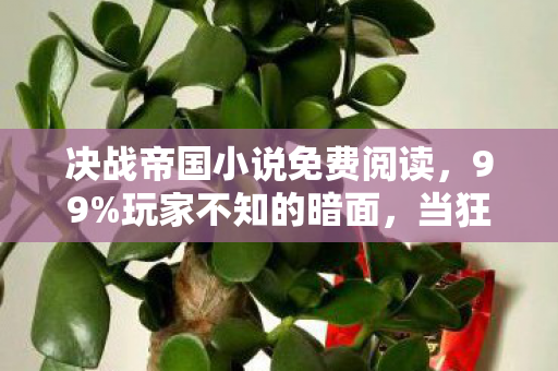 决战帝国小说免费阅读,99%玩家不知的暗面,当狂欢褪去,谁在帝国废墟里数着伤痕? 决战帝国小说免费阅读,99%玩家不知的暗面,当狂欢褪去,谁在帝国废墟里数着伤痕?
