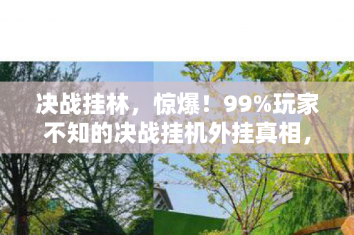 决战挂林，惊爆！99%玩家不知的决战挂机外挂真相，背后竟藏着……