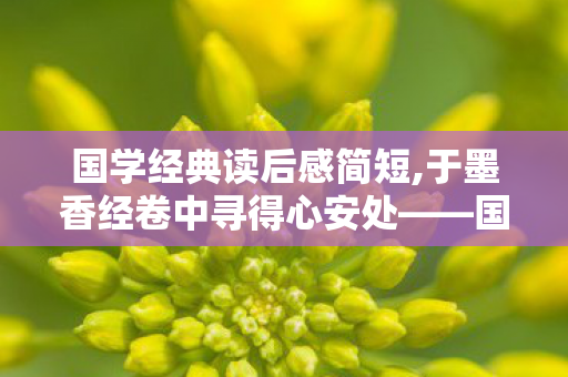 国学经典读后感简短,于墨香经卷中寻得心安处——国学经典阅读随感