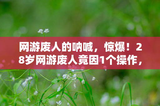 网游废人的呐喊，惊爆！28岁网游废人竟因1个操作，人生迎来惊天大反转？