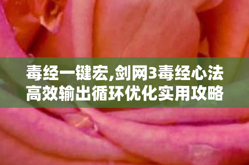 毒经一键宏,剑网3毒经心法高效输出循环优化实用攻略