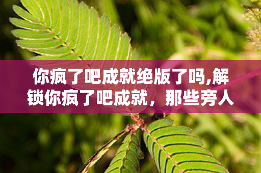 你疯了吧成就绝版了吗,解锁你疯了吧成就,那些旁人看不懂的坚持,最后都成了你的光 你疯了吧成就绝版了吗,解锁你疯了吧成就,那些旁人看不懂的坚持,最后都成了你的光