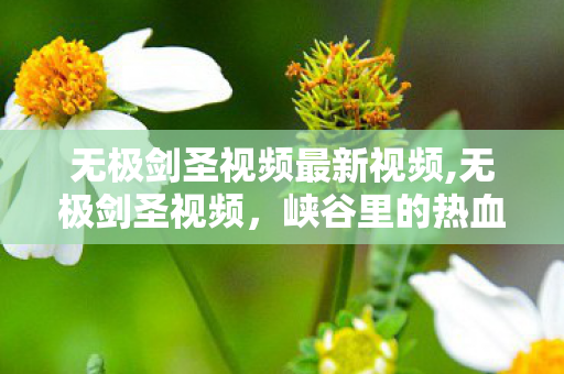 无极剑圣视频最新视频,无极剑圣视频，峡谷里的热血传承与玩家情怀