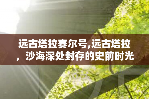 远古塔拉赛尔号,远古塔拉，沙海深处封存的史前时光秘境