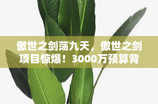 傲世之剑荡九天,傲世之剑项目惊爆!3000万预算背后竟藏这隐情,真让人吓一跳! 傲世之剑荡九天,傲世之剑项目惊爆!3000万预算背后竟藏这隐情,真让人吓一跳!