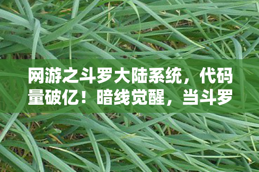 网游之斗罗大陆系统，代码量破亿！暗线觉醒，当斗罗大陆NPC开始头皮发麻地反杀