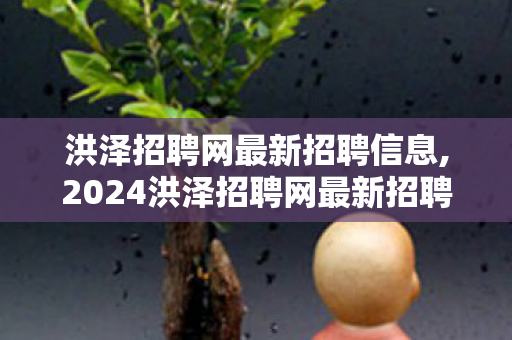 洪泽招聘网最新招聘信息,2024洪泽招聘网最新招聘岗位盘点，家门口的优质就业机会全梳理