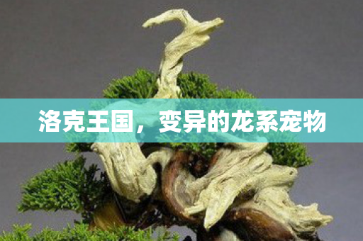 变异的龙系宠物图片