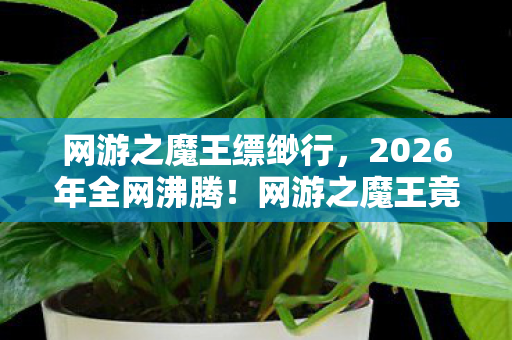 网游之魔王缥缈行，2026年全网沸腾！网游之魔王竟藏惊天反转，玩家集体失控？