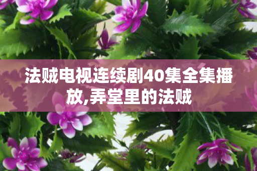法贼电视连续剧40集全集播放,弄堂里的法贼