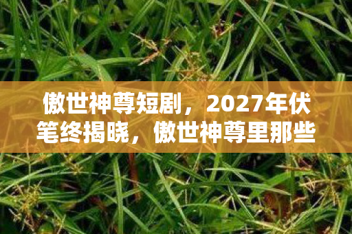 傲世神尊短剧,2027年伏笔终揭晓,傲世神尊里那些别走让我鼻子一酸 傲世神尊短剧,2027年伏笔终揭晓,傲世神尊里那些别走让我鼻子一酸