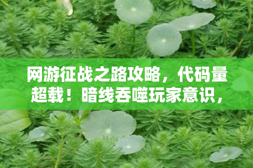 网游征战之路攻略,代码量超载!暗线吞噬玩家意识,这场网游征途让人头皮发麻 网游征战之路攻略,代码量超载!暗线吞噬玩家意识,这场网游征途让人头皮发麻