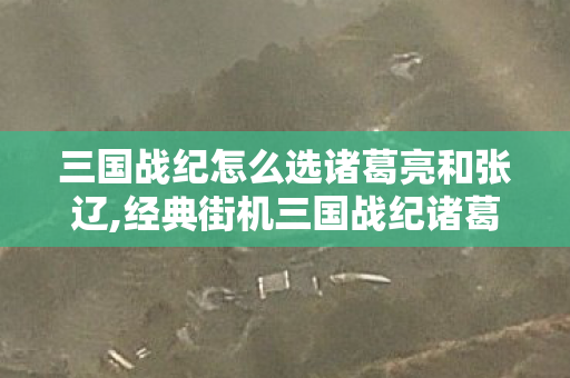 三国战纪怎么选诸葛亮和张辽,经典街机三国战纪诸葛亮选择方法全指南 新手快速上手攻略