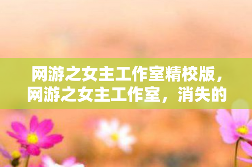 网游之女主工作室精校版，网游之女主工作室，消失的ID与午夜服务器里爬出的血手印