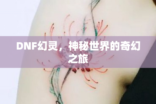 神秘世界的奇幻之旅图片
