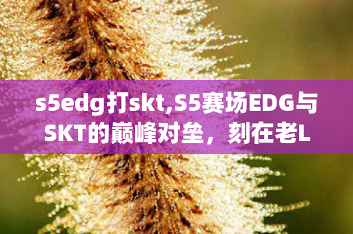 s5edg打skt,S5赛场EDG与SKT的巅峰对垒，刻在老LPL观众记忆里的热血印记