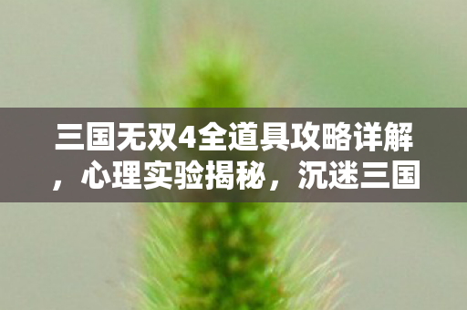 三国无双4全道具攻略详解,心理实验揭秘,沉迷三国无双4全道具收集,细思极恐的自我麻醉 三国无双4全道具攻略详解,心理实验揭秘,沉迷三国无双4全道具收集,细思极恐的自我麻醉