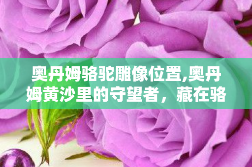 奥丹姆骆驼雕像位置,奥丹姆黄沙里的守望者，藏在骆驼雕像里的远古小秘密
